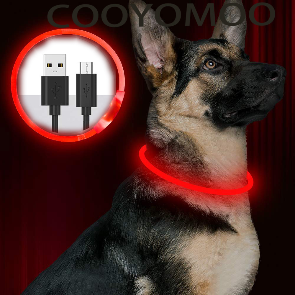 Silicone LED Dog Collar Rechar - Tech Dog Accessories ulasan dan harga