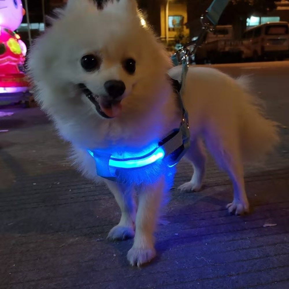 Breathable Light Up LED Dog Ha - Tech Dog Accessories ulasan dan harga