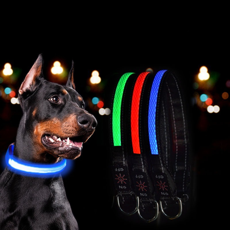 USB LED Dog Collar Lights - Ad - Tech Dog Accessories ulasan dan harga