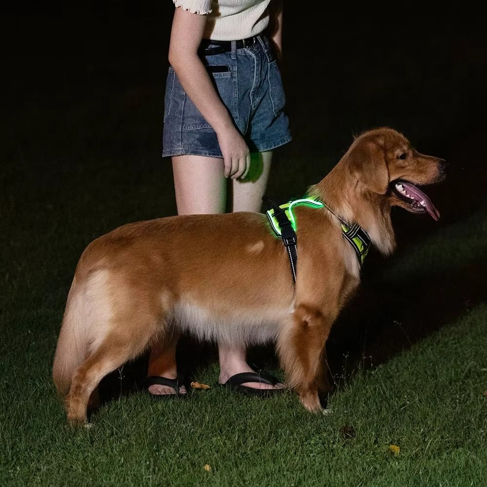 Durable Light Up LED Dog Harne - Tech Dog Accessories ulasan dan harga