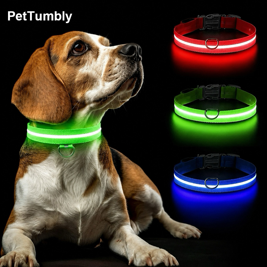 3 Modes Dog Luminous Charge Co - Tech Dog Accessories ulasan dan harga