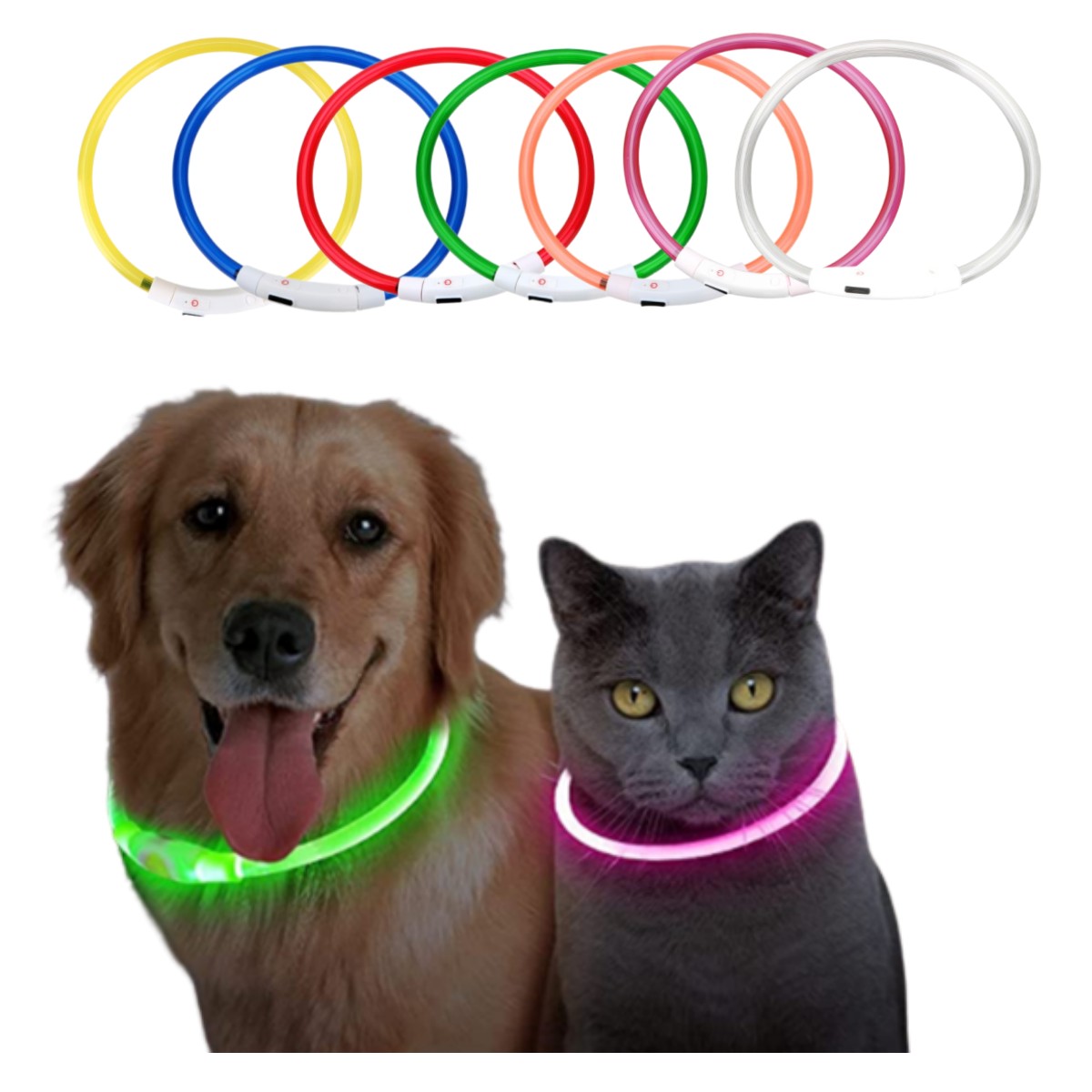 Led Light Dog Collar Detachabl - Tech Dog Accessories ulasan dan harga