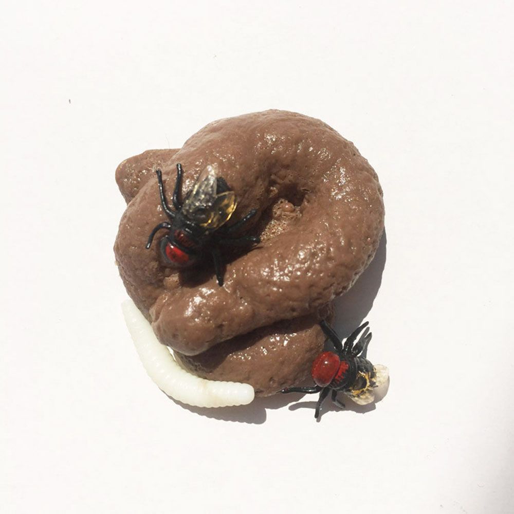Prank Realistic Fake Shit Toys - Tech Dog Accessories ulasan dan harga