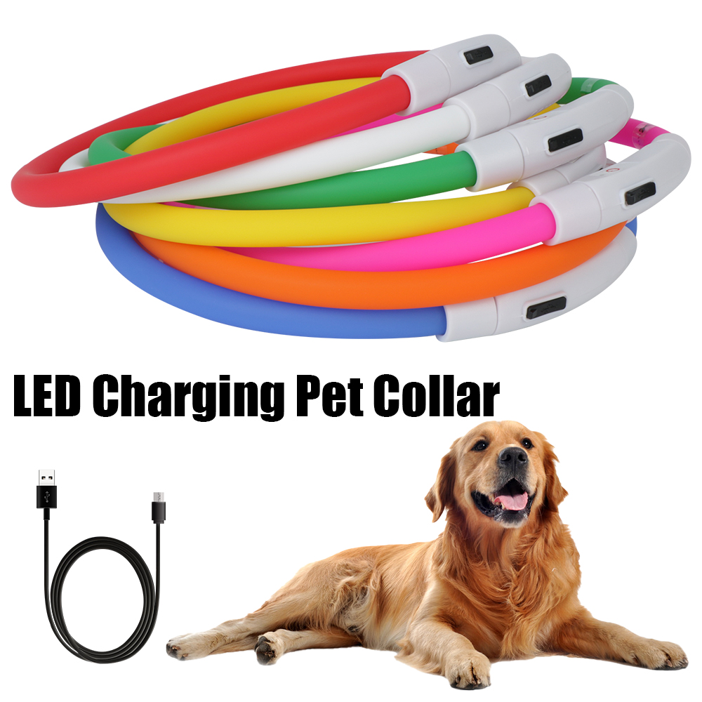 Dog Loss Prevention Led Usb Do - Tech Dog Accessories ulasan dan harga