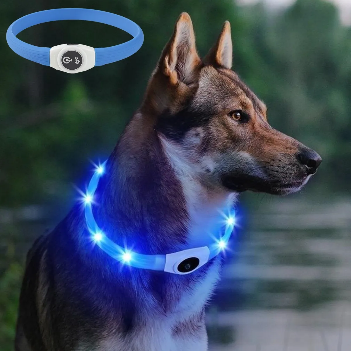 New Led Luminous Dog Collar PV - Tech Dog Accessories ulasan dan harga